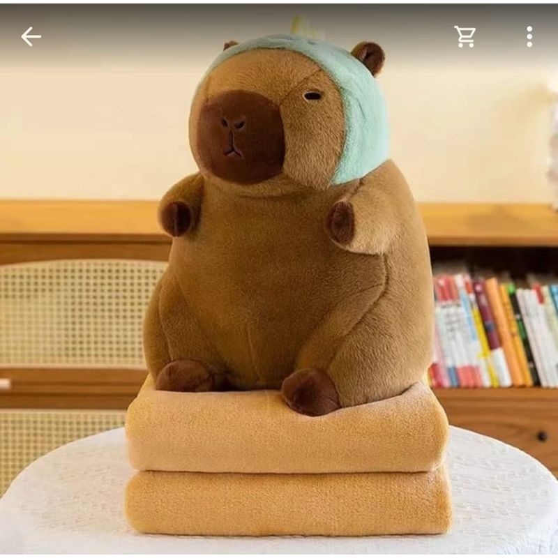 GENERICO - Peluche Capibara 40cm+Manta Polar