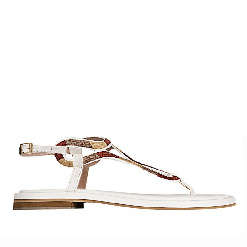 FRATTINI BELA - Sandalia de Mujer marca FRATTINI BELA en Color BLANCO   SAND949-1