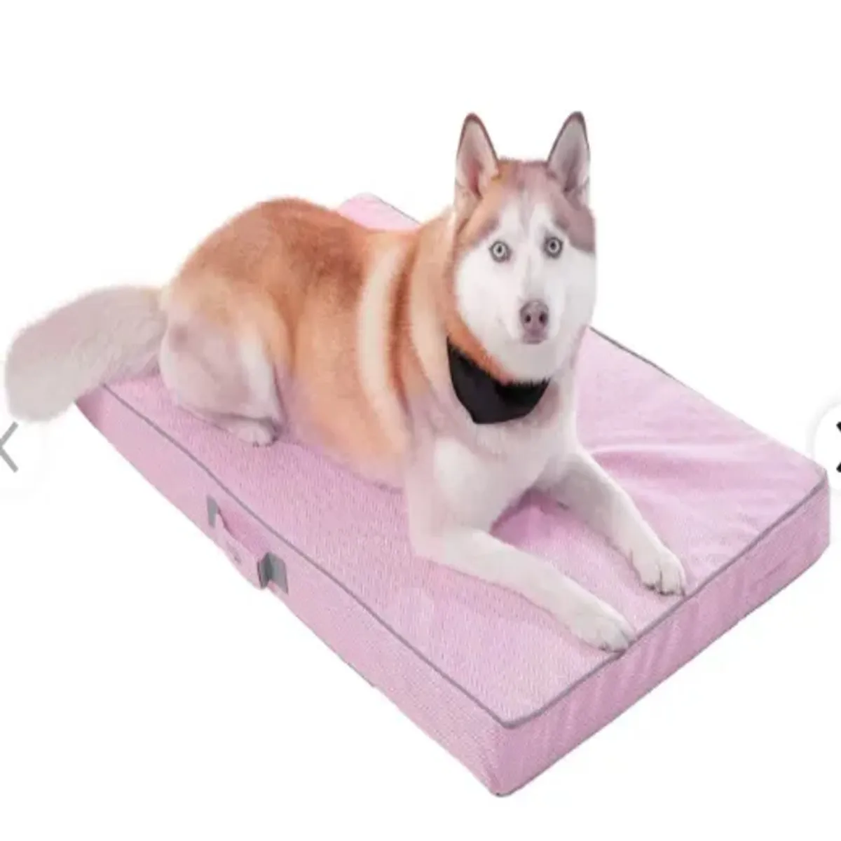 TOTTO - Cama Totto Para Perro Danko L Morado Grande