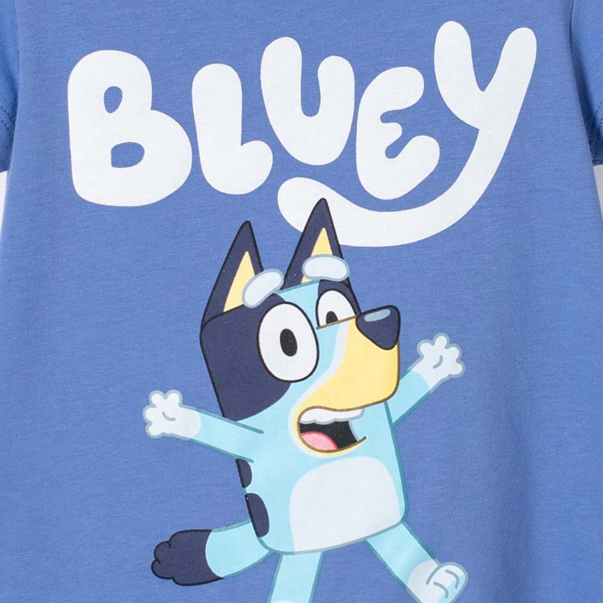 BLUEY - Camiseta de Bluey manga corta Azul para niña 2T a 6T