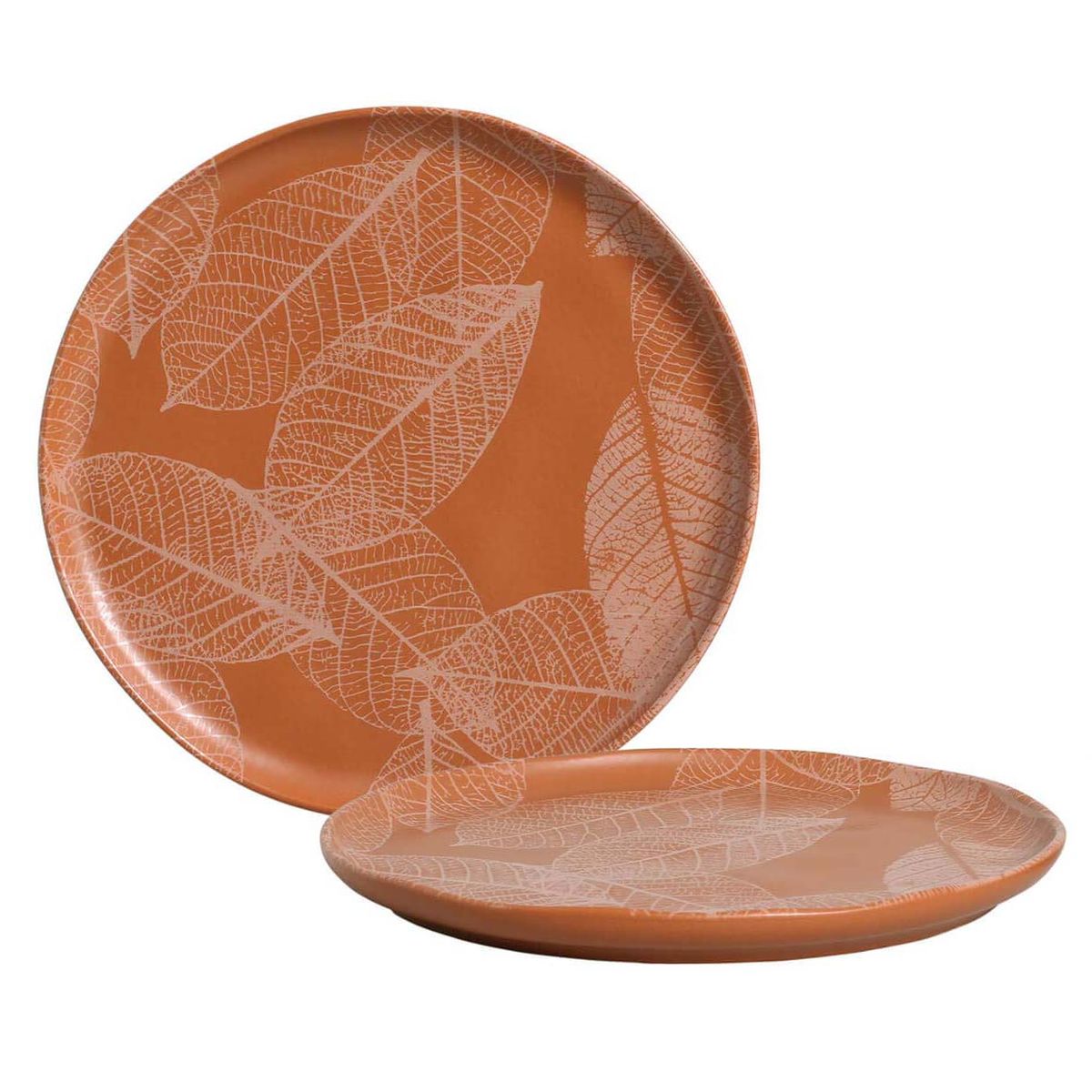 PORTO - PLATO LLANO BIO BRISA