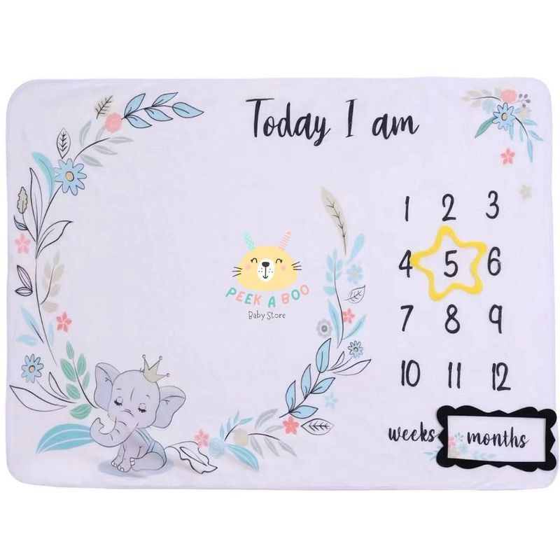 GENERICO - Mat De Fotografía Mes A Mes Con Diseño Nuevo