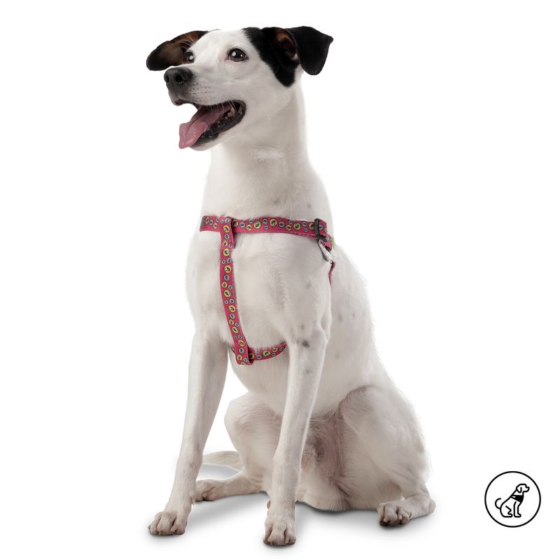 TOTTO - Arnés Para Mascota Totto Brunno Rojo