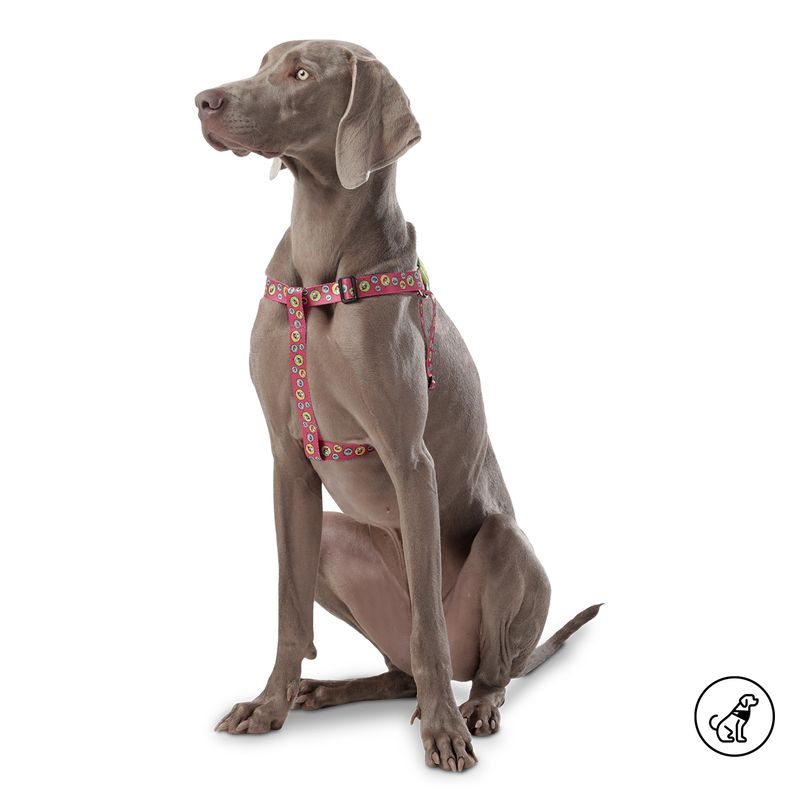 TOTTO - Arnés Para Mascota Totto Brunno Rojo M