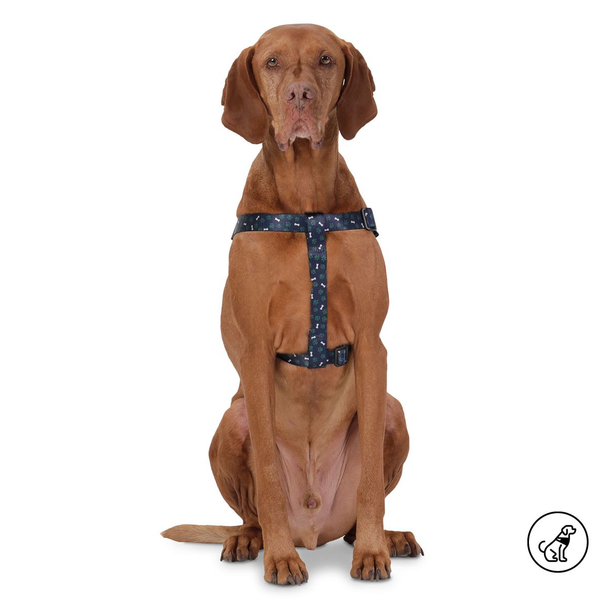 TOTTO - Arnés Para Mascota Grande Totto Brunno Azul L