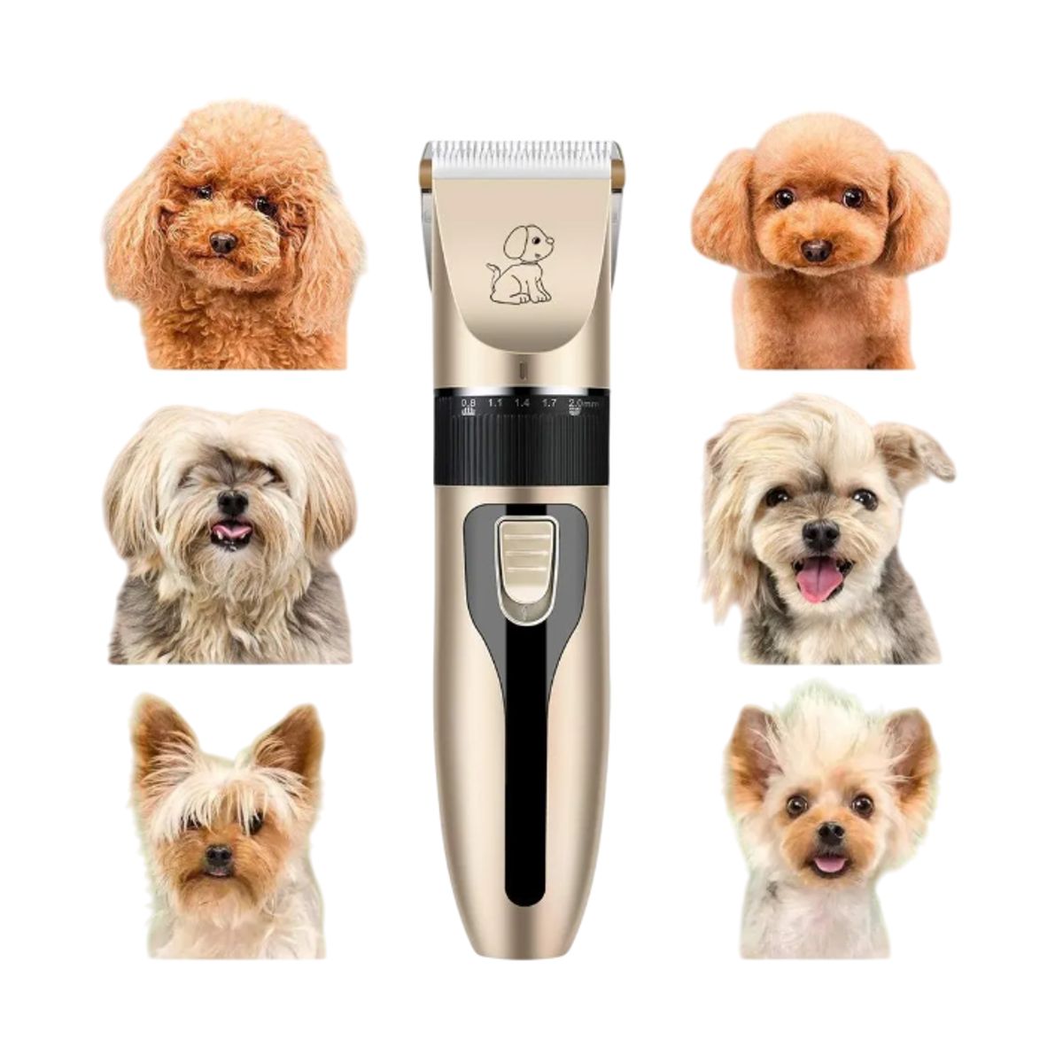 GENERICO - KIT DE PELUQUERIA CANINA