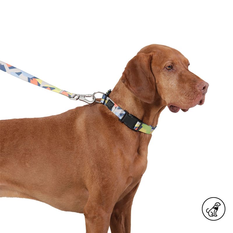 TOTTO - Collar Para Perro Ajustable Mylu Café Totto M