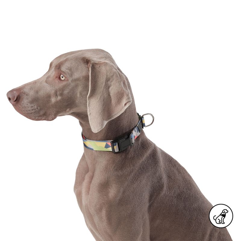 TOTTO - Collar Ajustable Para Perro Totto Mylu Café L