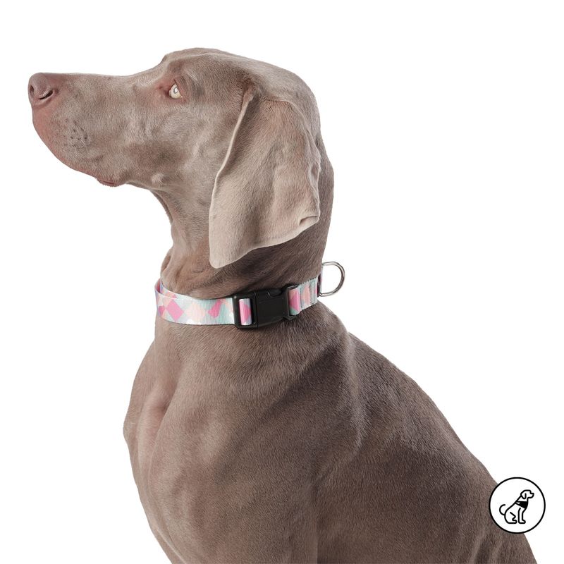 TOTTO - Collar Ajustable Mylu Para Perro Blanco L