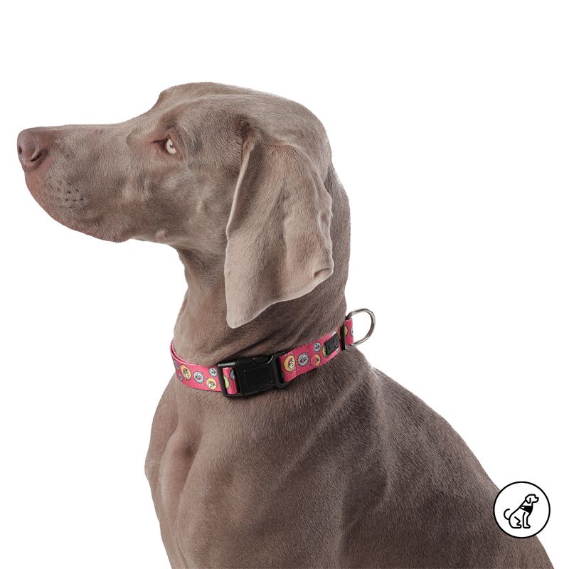 TOTTO - Collar ajustable para Perro Mylu L Rojo Totto