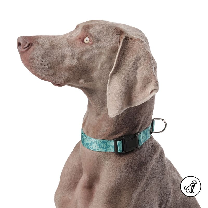 TOTTO - Collar Ajustable Para Perro Totto Mylu Verde