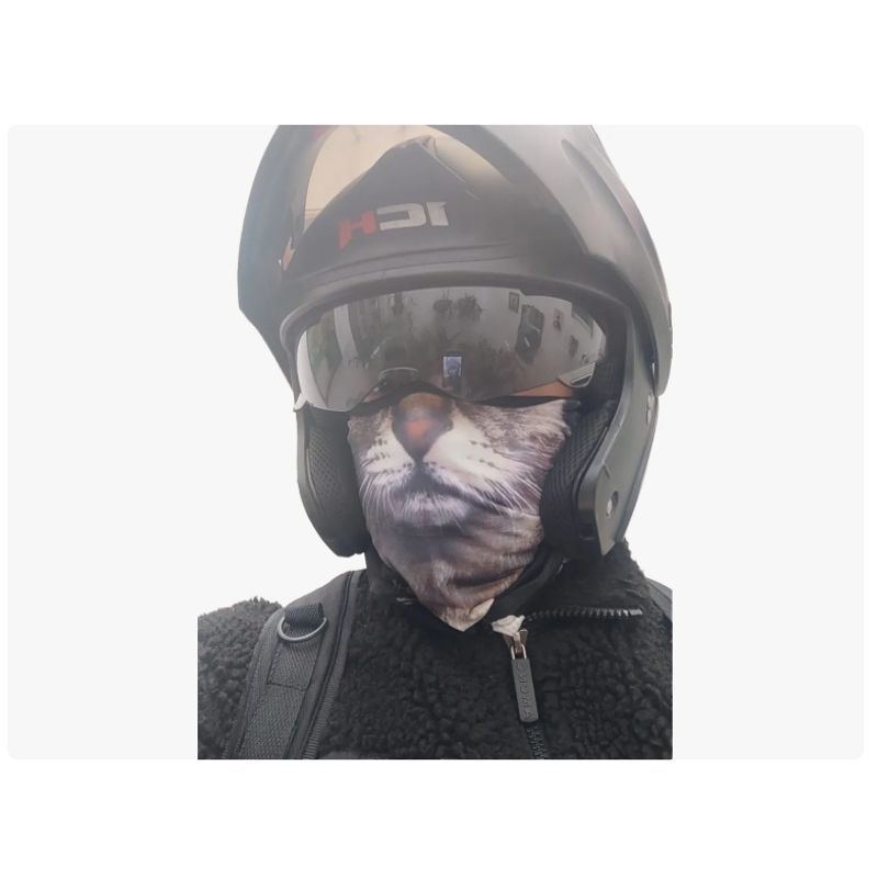 AMERICAN GENERICS - Pasamontañas Protector Cara En Forma De Gato Moto Montañismo