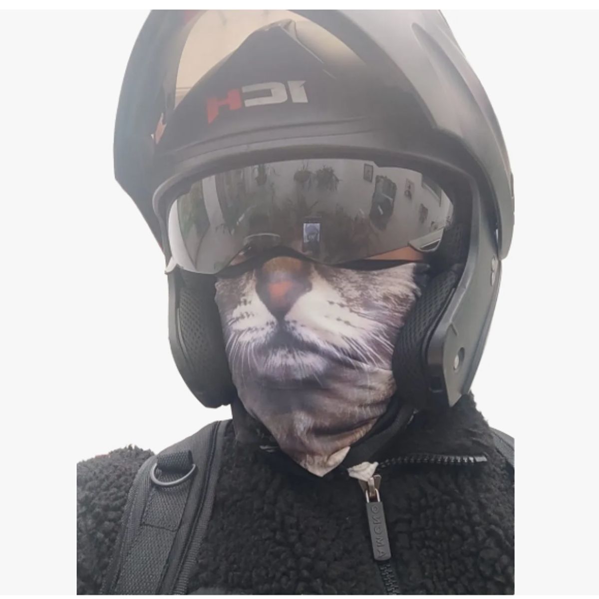 AMERICAN GENERICS - Pasamontañas Protector Cara En Forma De Gato Moto Montañismo