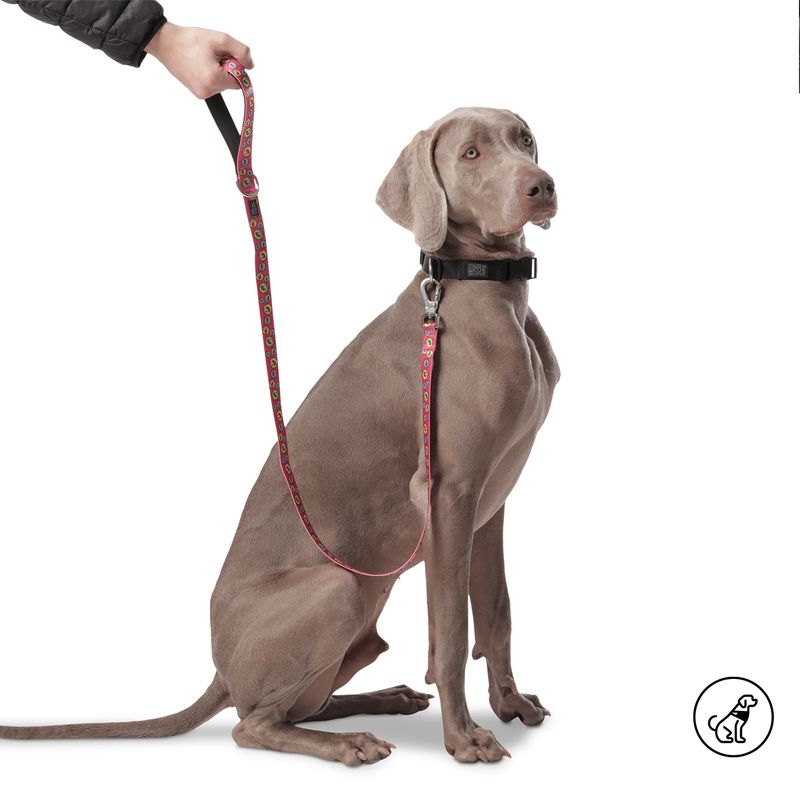 TOTTO - Correa Para Perro Sencilla Odye L Totto Roja
