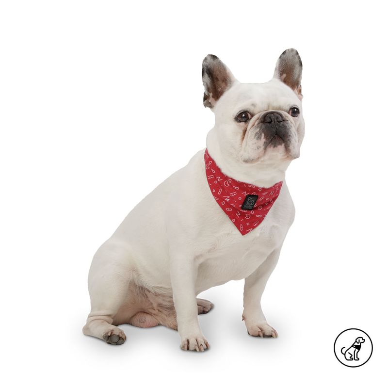TOTTO - Pañuelo Doble Faz Para Mascota Totto Rojo S