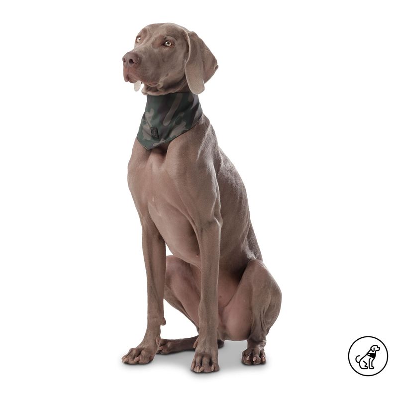 TOTTO - Pañuelo Doble Faz Para Mascota Totto Verde L