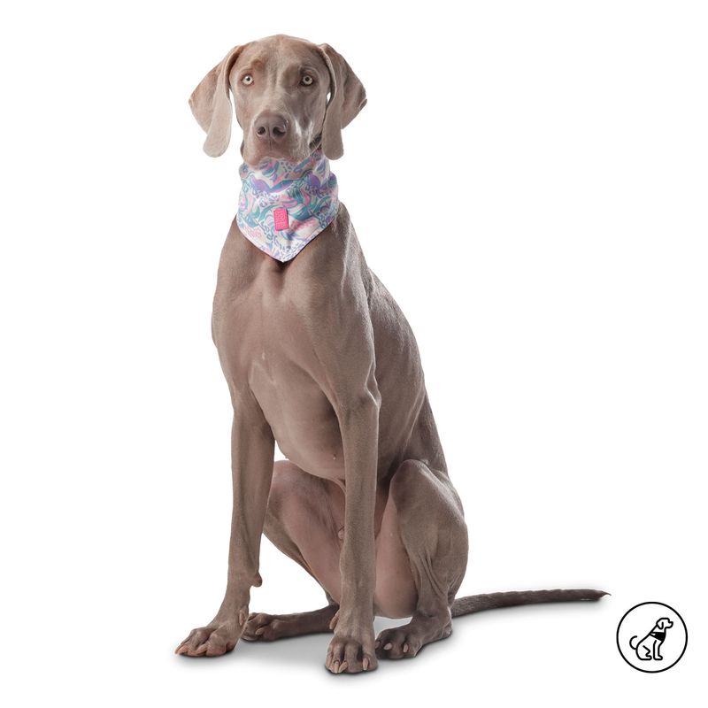 TOTTO - Pañuelo Doble Faz Para Mascota Totto Blanco L