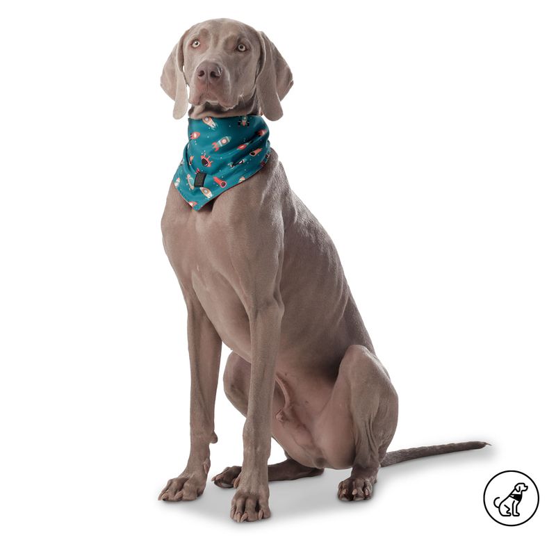 TOTTO - Pañuelo Doble Faz Para Mascota Totto Menta Azul L
