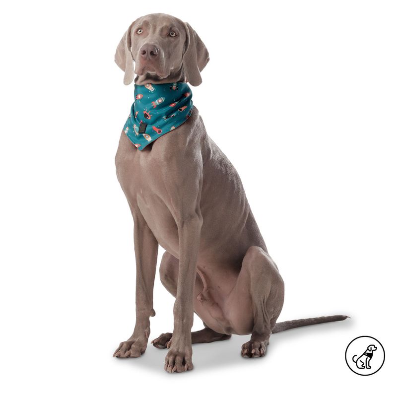 TOTTO - Pañuelo Doble Faz Para Mascota Totto Azul XL