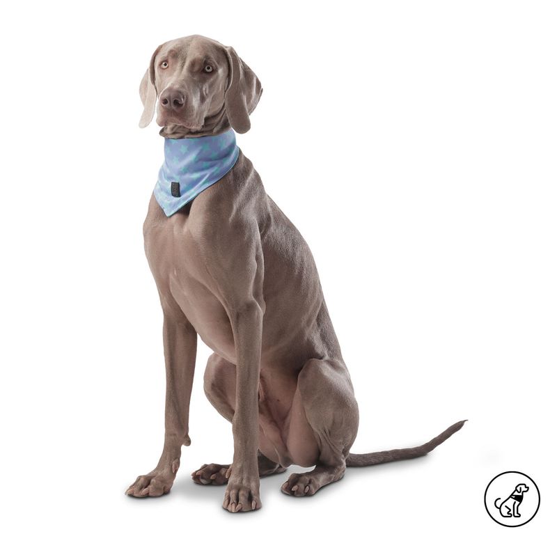 TOTTO - Pañuelo Menta Doble Faz Para Perro Totto Azul XL