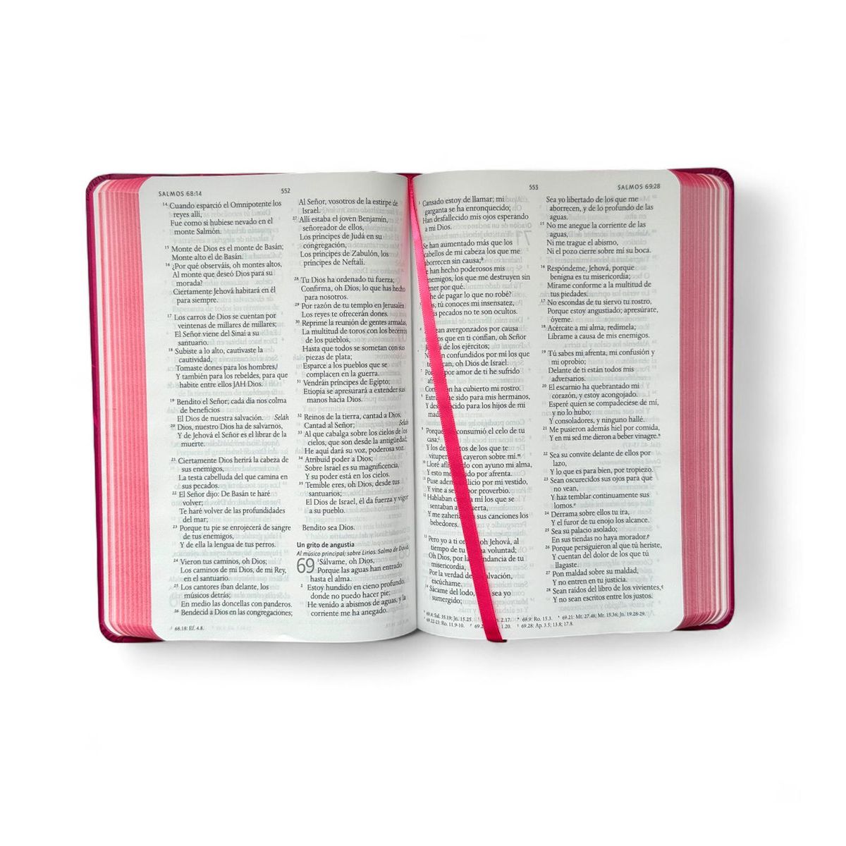 GENERICO - Biblia Reina Valera 1960. León De Judá. Rosada (T.D)