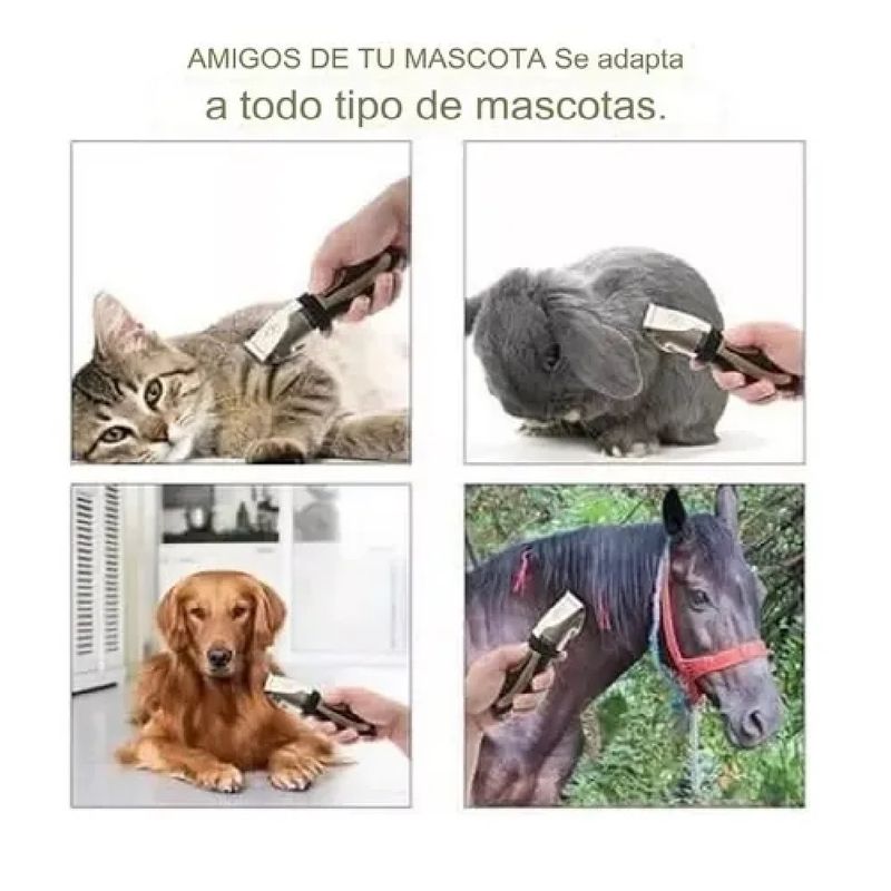 GENERICO - Maquina Peluquera Para Perros Y Gatos RAF
