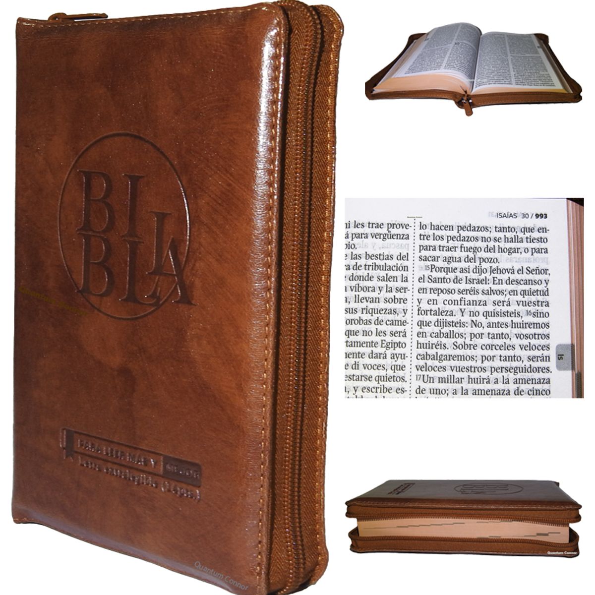 SBC - Biblia Letra Gigante Cristiana Reina Valera 1960 Marron Cafe