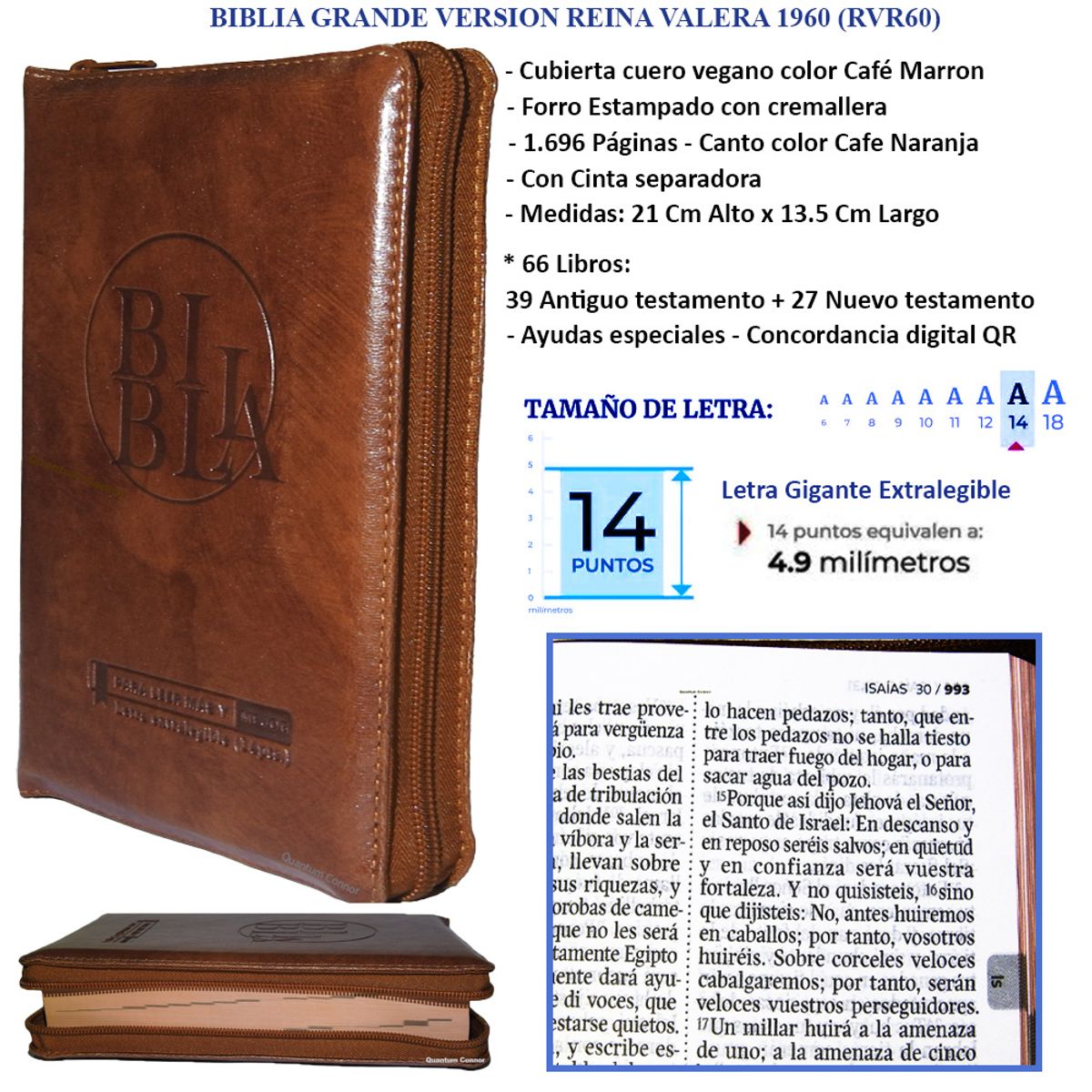 SBC - Biblia Letra Gigante Cristiana Reina Valera 1960 Marron Cafe