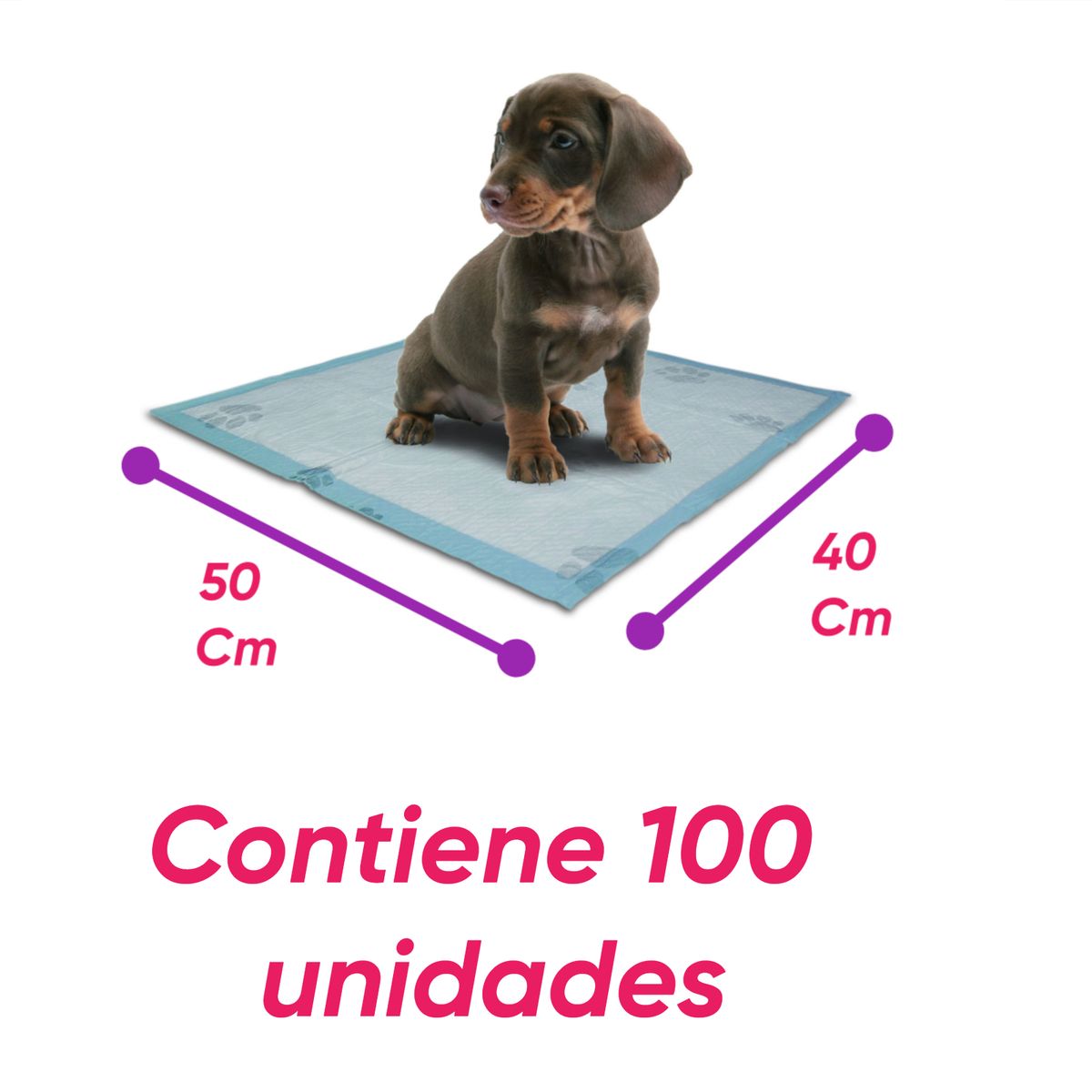 HALLY PET - Tapete Entrenador Talla S 50cm X 40cm Por 100 Und