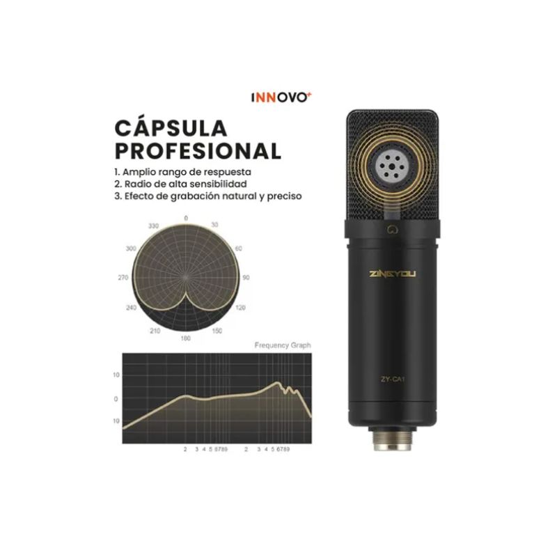 INNOVA - Micrófono Condensador Podcast Profesional Brazo Filtro Pop Accesorios