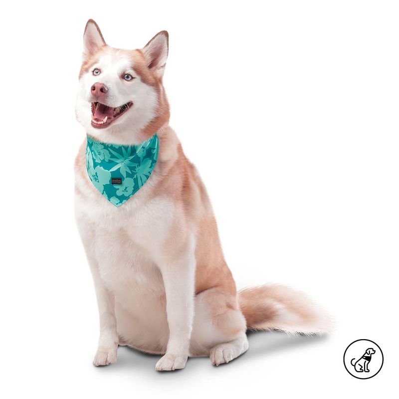 TOTTO - Pañoleta Menta 2.0 Para Mascota Verde L Totto