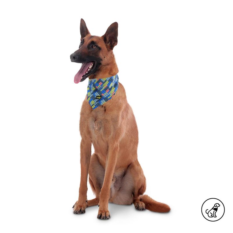 TOTTO - Pañuelo para mascota Menta Doble Faz 2.0 XL Gris