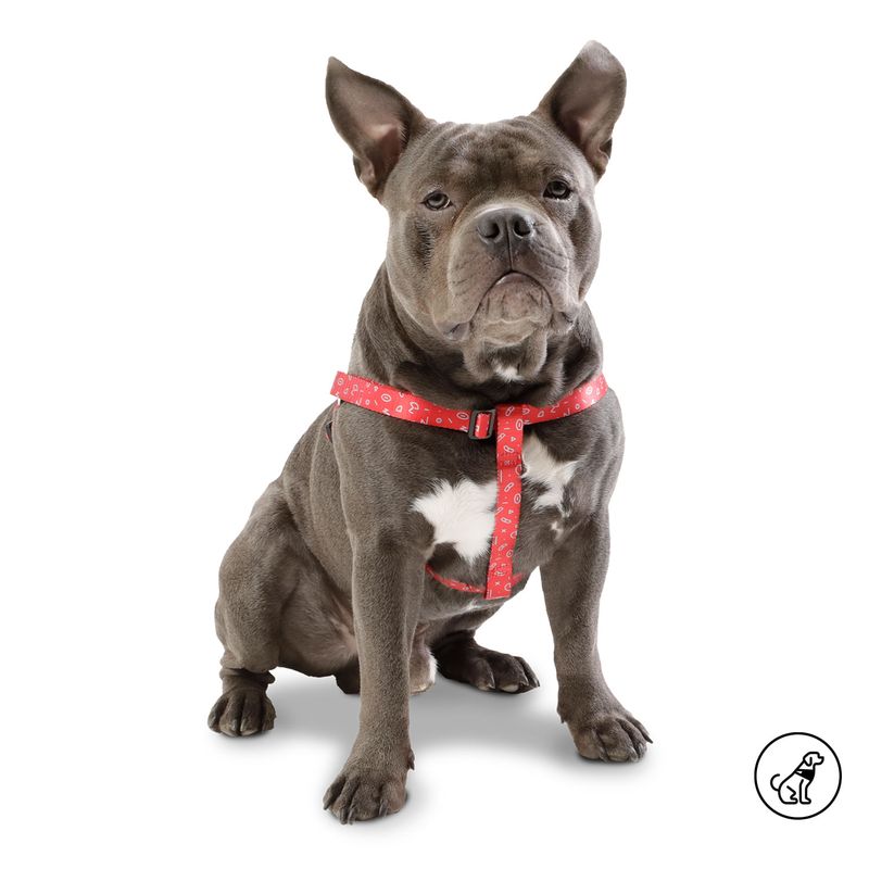 TOTTO - Arnés Para Perro Ajustable Totto Rojo M