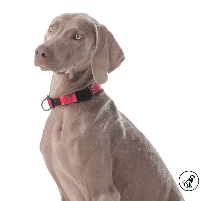 TOTTO - Collar Ajustable Para Mascota Mkp Mylu Totto Rojo L