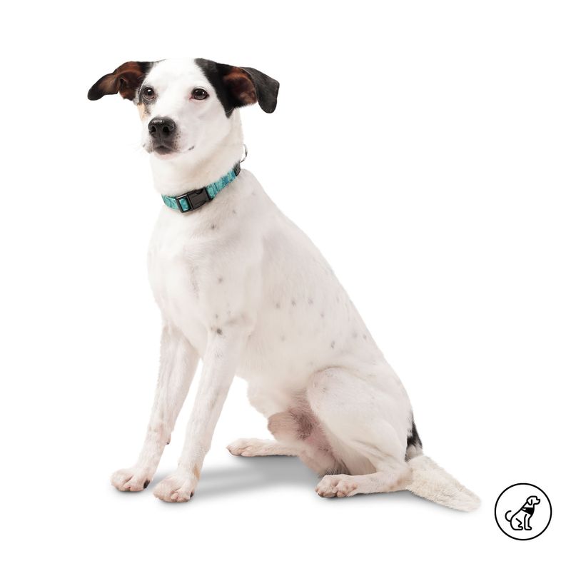 TOTTO - Collar Ajustable Para Mascota Mkp Mylu Totto Verde S