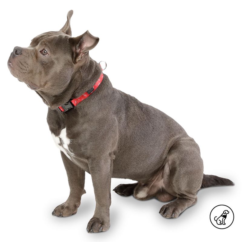 TOTTO - Collar Ajustable Para Mascota Mkp Mylu Totto Rojo M