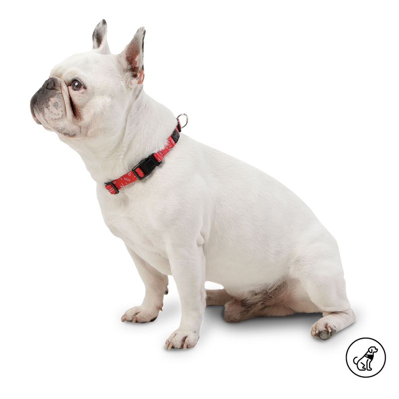 TOTTO - Collar Ajustable Para Perro Mkp Totto Mylu Rojo S