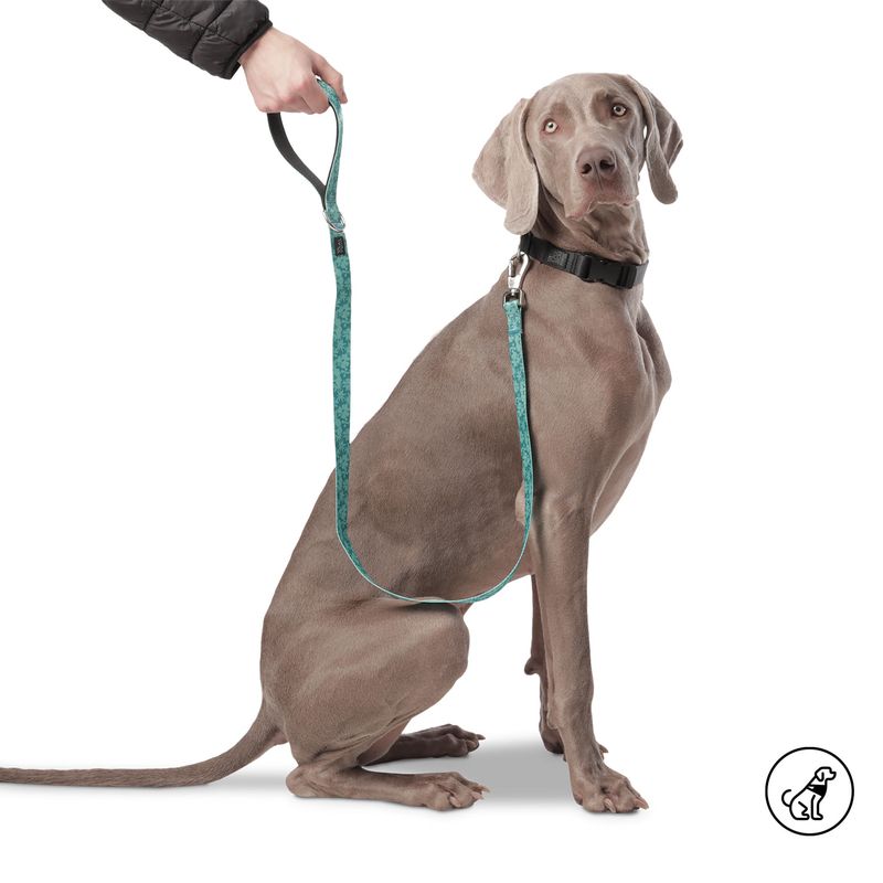 TOTTO - Correa Manija Sencilla Mascotas Totto Mkp Odye Verde L
