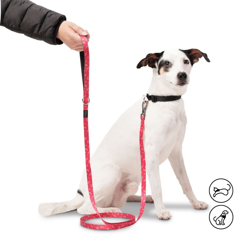 TOTTO - Correa Manija Sencilla Para Mascotas Totto Mkp Odye Rojo S