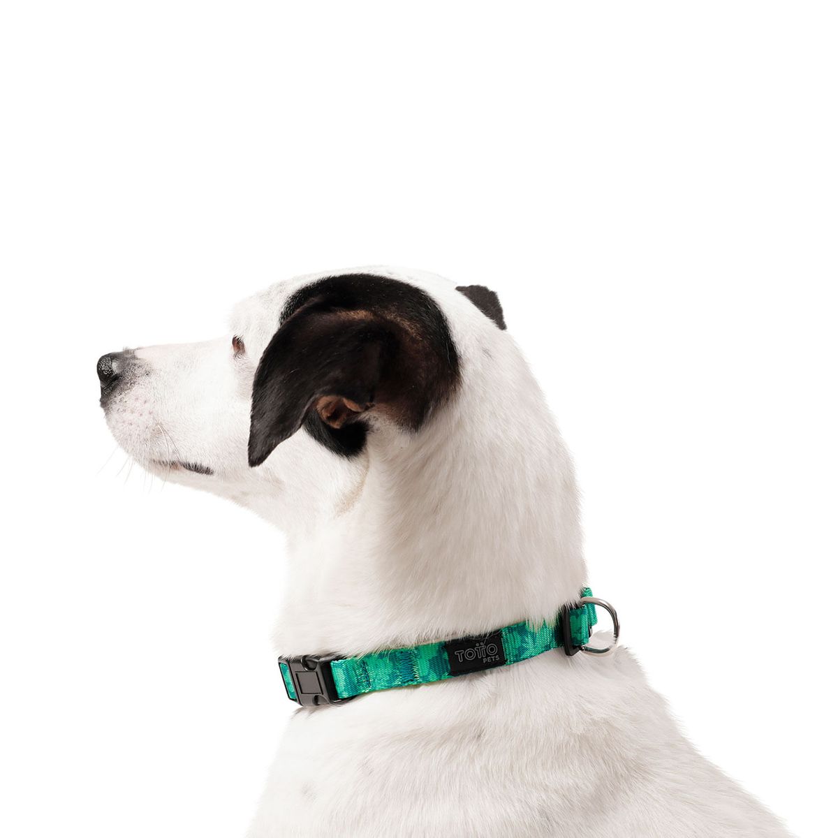 TOTTO - Collar Ajustable Para Mascota Verde XS Totto Mylu