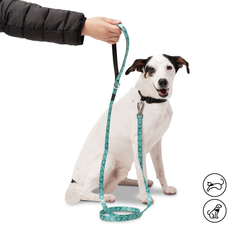TOTTO - Correa Manija Sencilla Para Mascotas Totto Mkp Odye Verde S