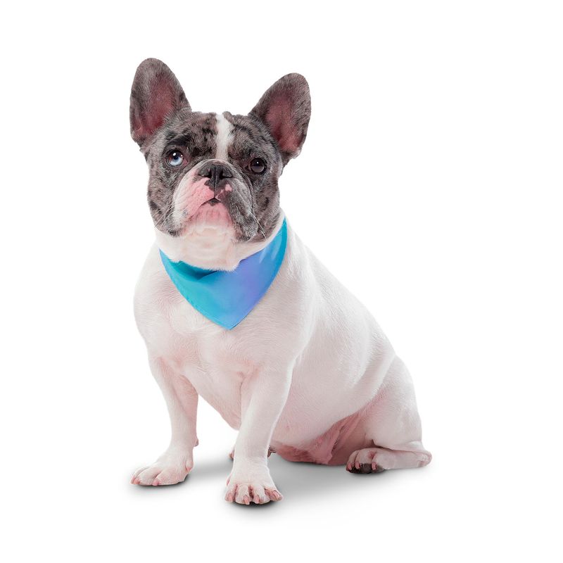 TOTTO - Pañuelo Para Mascota Doble Faz Totto Mkp Verde M
