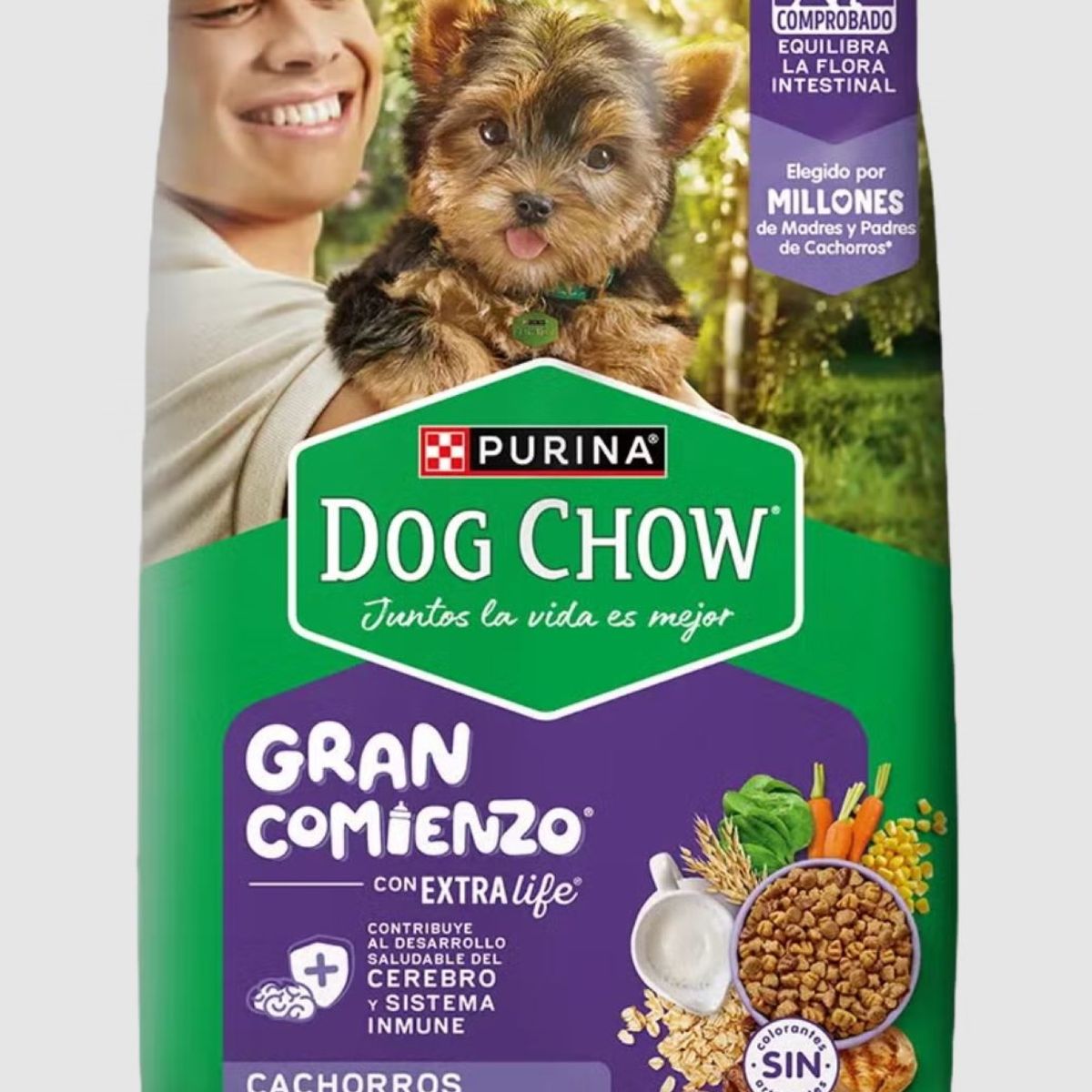 DOG CHOW - Dog Chow Gran Comienzo Cachorro Minis Pequeños 2 kg