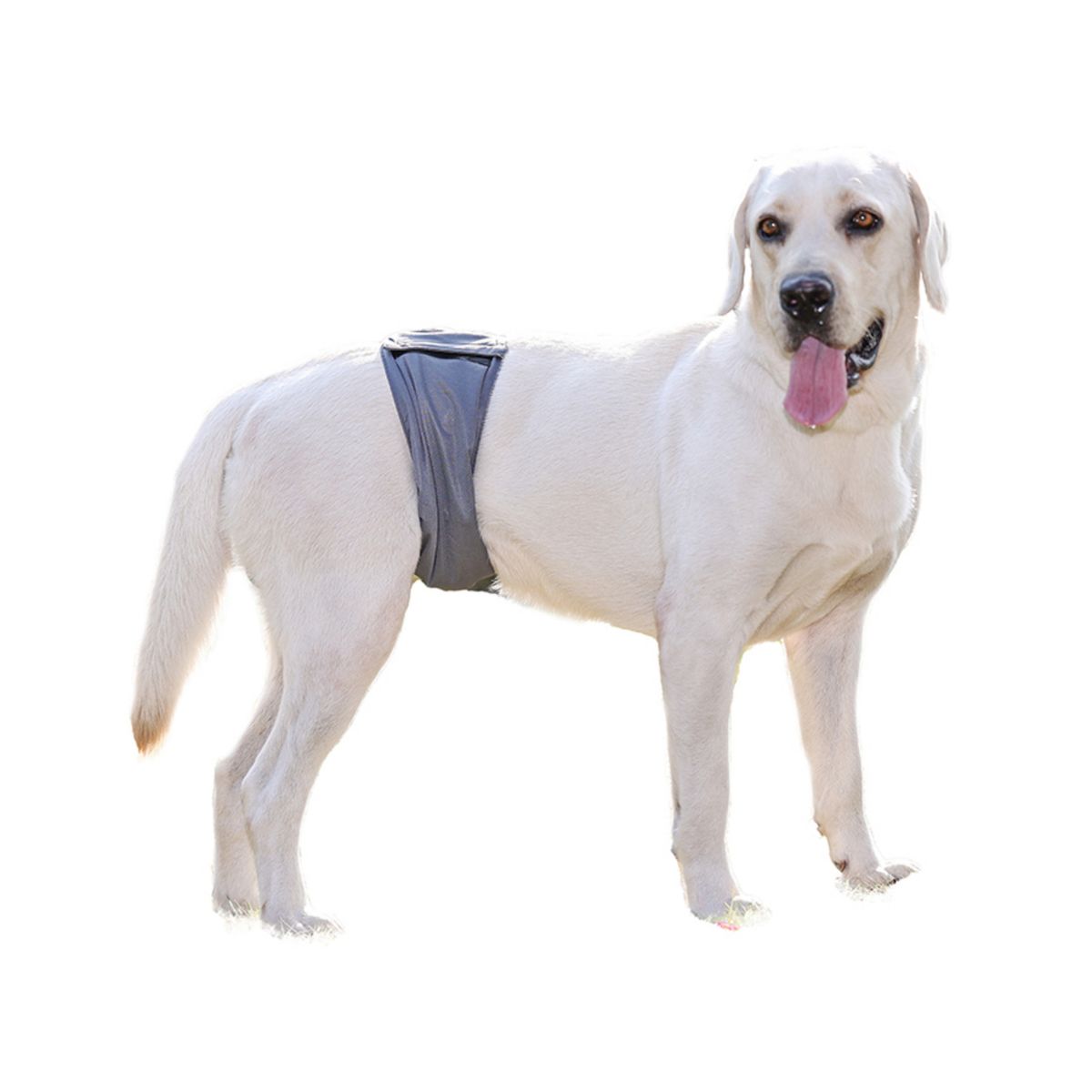 HALLY PET - Pañal Lavable Macho Talla S por 3 Und Gris