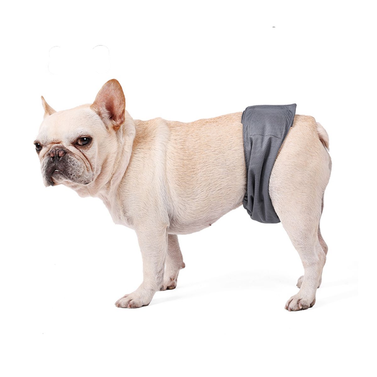 HALLY PET - Pañal Lavable Macho Talla L por 3 Und Negro