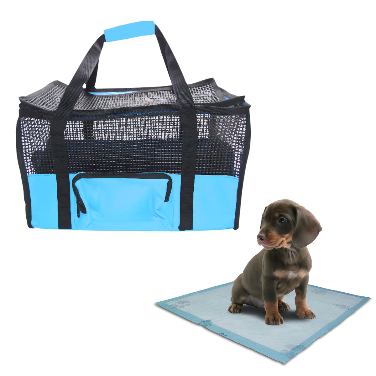 HALLY PET - Maletin Cargador Cabina + 15 Und de Tapetes Celeste