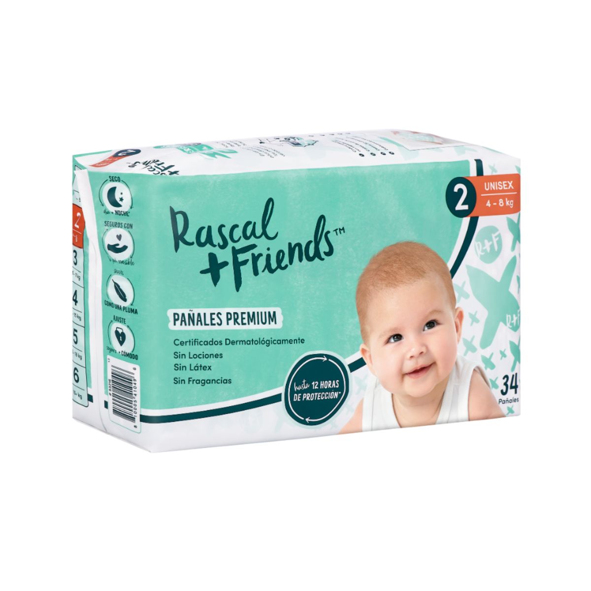 MINISTRY OF RASCALS - Rascal Etapa 2 Premium 34 Unidades