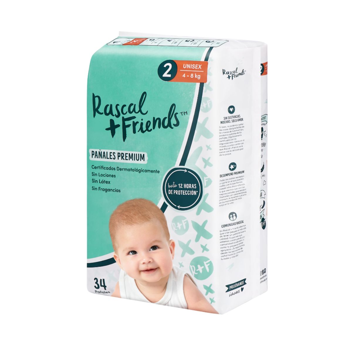 MINISTRY OF RASCALS - Rascal Etapa 2 Premium 34 Unidades