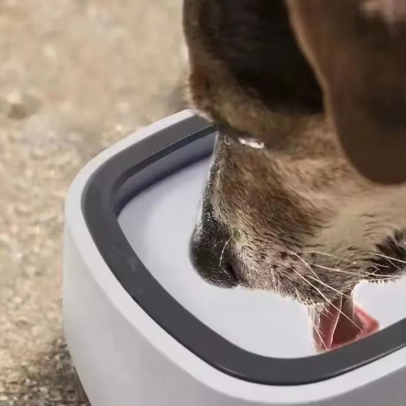 GENERICO - Plato Bebedero Antiderrame De Agua Mascotas Perros Gatos 1 L