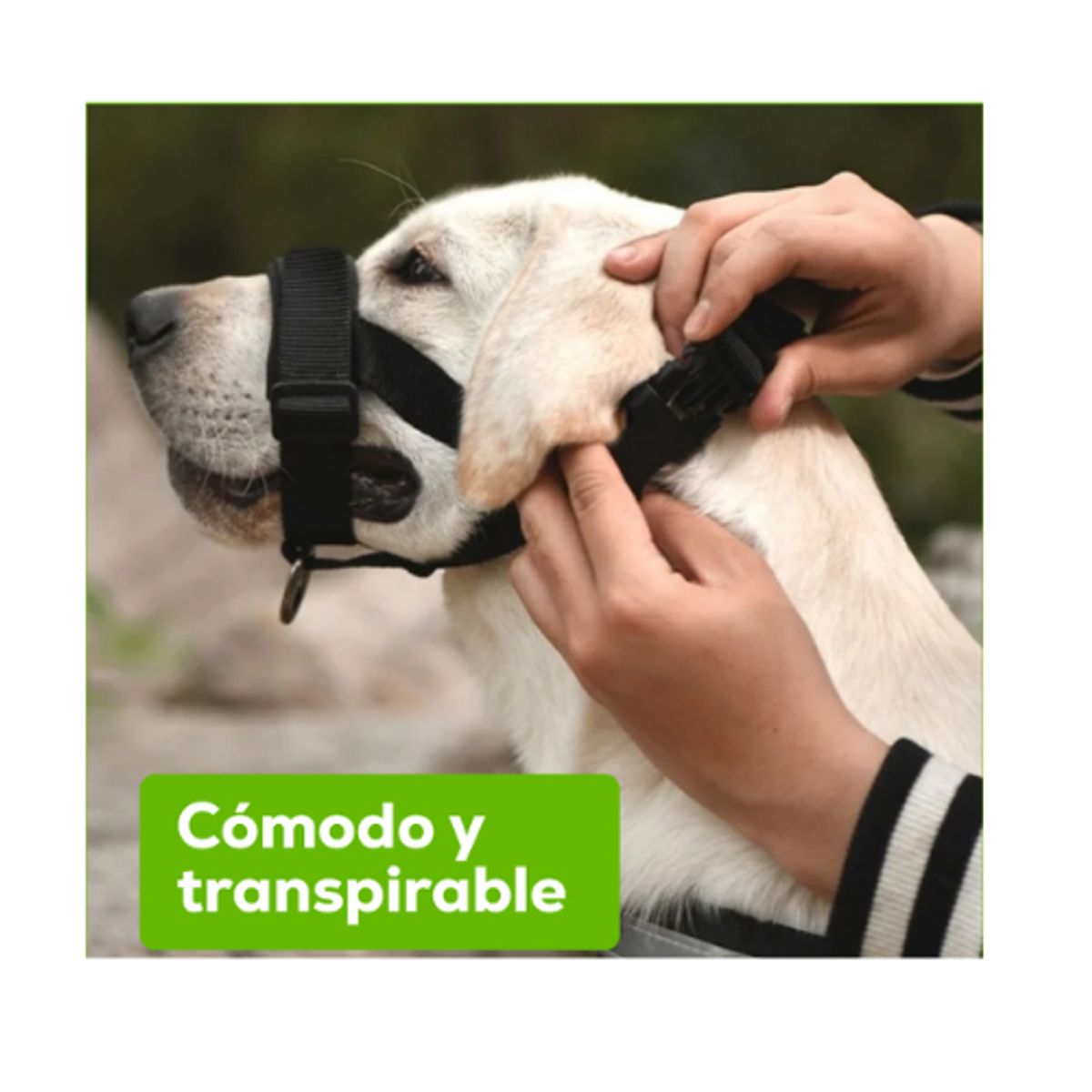 AFM - Bozal Healthy Con Traílla